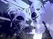 Kattenkunst - Kelly 2 van MoArt (Maurice Heuts) thumbnail