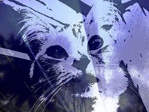 Kattenkunst - Kelly 2