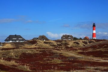 Hörnum lighthouse and houses (Sylt)