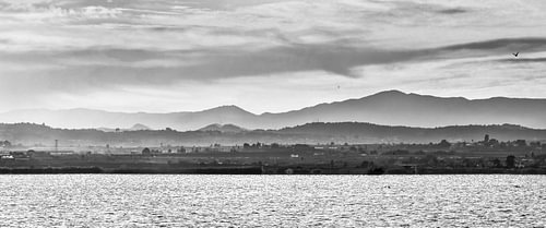 Sunset by the sea in black and white