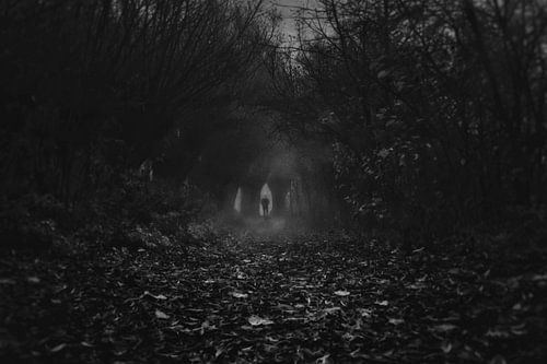 Wandering in the dark