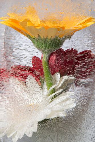 Boeketje voor de eeuwigheid