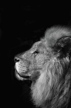 The proud king by Ellinor Creation