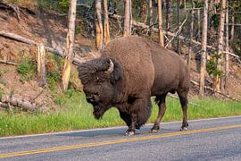Yellowstone National Park by Studio Retouched fotoshop