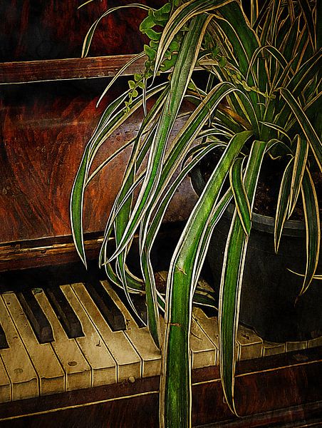 Bagatelle For Spider Plant by Dorothy Berry-Lound