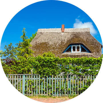 Old building with thatched roof in Wieck, Germany van Rico Ködder