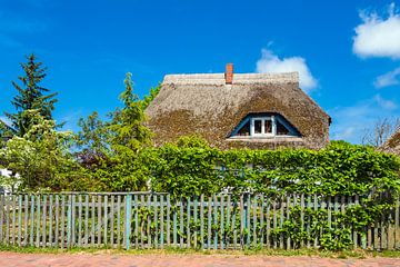 Old building with thatched roof in Wieck, Germany van Rico Ködder