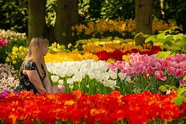 Tulips in the Keukenhof by Brian Morgan