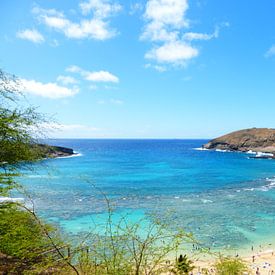 Hanauma Bay Hawaii von Janina Ballali