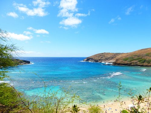 Hanauma Bay Hawaii