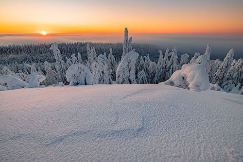 Vue du coucher de soleil et du paysage d'hiver