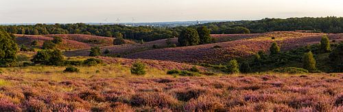 Foto zur Goldenen Stunde