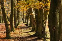 Plantage Willem III