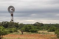Moulin à vent en Afrique