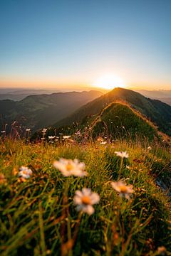 Lever de soleil fleuri sur le Hochgrat avec vue sur le Rindalphorn sur Leo Schindzielorz