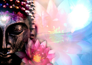 Lotus Boeddha