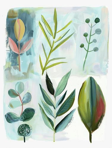 Botanische illustratie