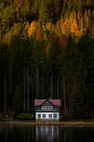 Cottage on the lake
