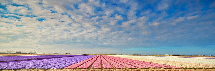 bulbs field with hyacinths par eric van der eijk