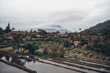 Vues tropicales authentiques à Bali, Indonésie sur Troy Wegman