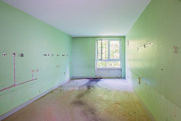 groene kamer van Michael Schulz-Dostal