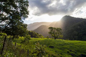 New South Wales, Australie