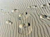 Voetstappen in het zand.... van Angelique Roelofs thumbnail