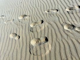 Voetstappen in het zand.... by Angelique Roelofs