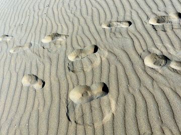 Voetstappen in het zand....