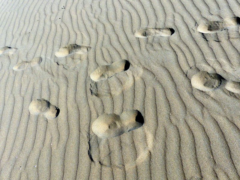 Voetstappen in het zand.... van Angelique Roelofs