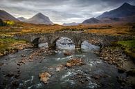 Sligachan Brückeninsel oder Skye in Schottland von Steven Dijkshoorn Miniaturansicht