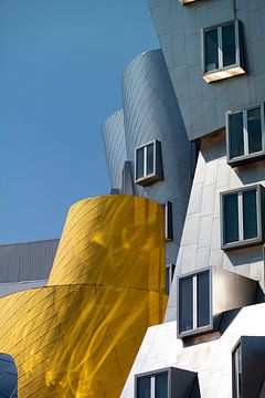 The Ray and Maria Stata Center, MIT, Boston by Nynke Altenburg