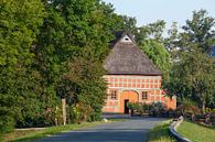 Reetgedecktes Bauernhaus im Bremer Blockland, Bremen, Deutschland, Europa von Torsten Krüger Miniaturansicht