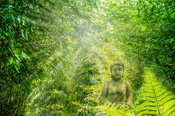 boeddha in weelderig bamboebos van Dörte Bannasch