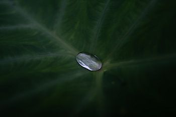 Silence in a drop