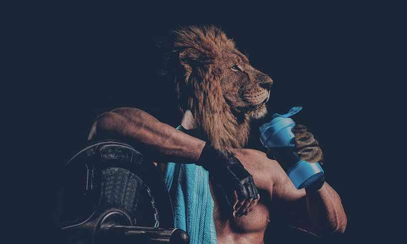 Sport Lion by Franklin