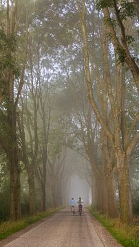 Landweg met hoge bomen met mist in de verte en twee fietsers van Ingrid Bergmann  Fotografie