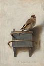 The goldfinch, Carel Fabritius by Meesterlijcke Meesters thumbnail
