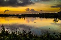 Zonsopkomst in de broekpolder