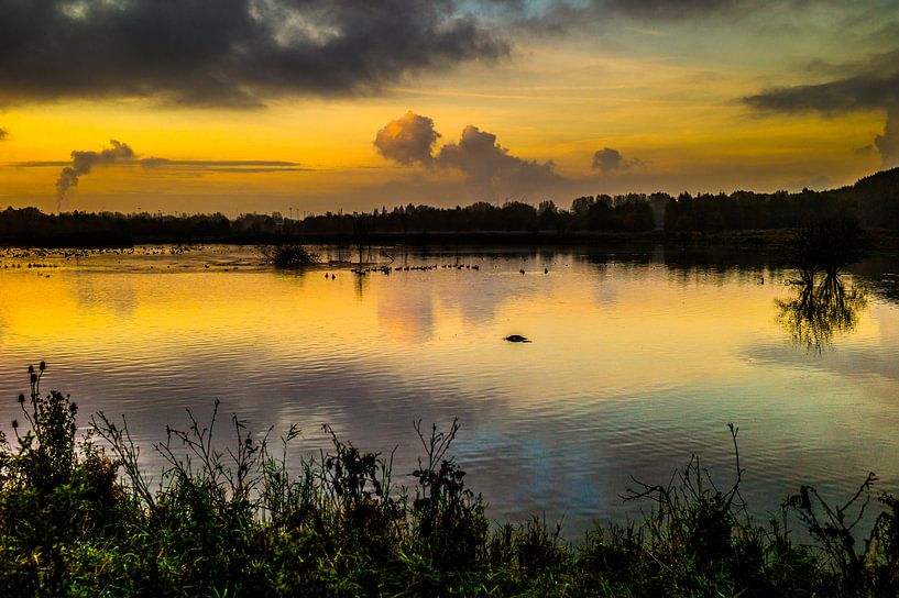 Zonsopkomst in de broekpolder by Michel Van Nederveen