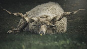 Quelque chose me préoccupe