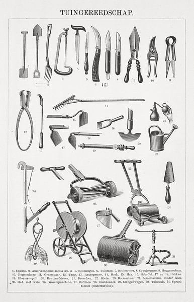 Educational plate Garden tools by Studio Wunderkammer