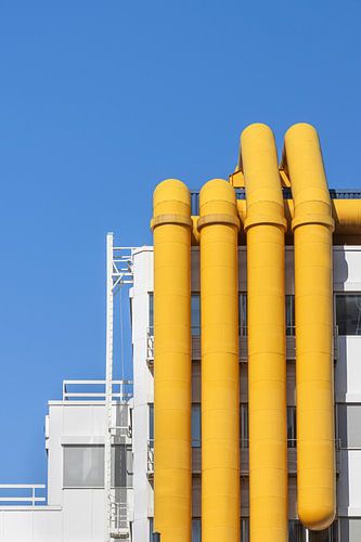 Die Rotterdamer Bibliothek