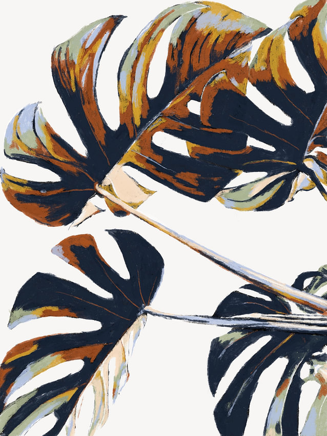 Monstera von <span class="secondary-font">Studio Carper</span>