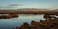 Irish Bogs von Bo Scheeringa Photography Miniaturansicht