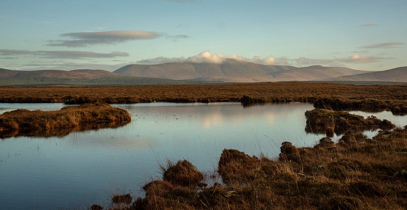 Irish Bogs von Bo Scheeringa Photography