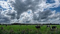 Platteland bij Oldehove (Groningen) van Eddy Westdijk thumbnail