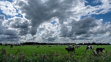 Platteland bij Oldehove (Groningen) van Eddy Westdijk