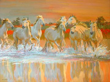 Camargue van William Ireland