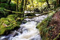 Gorges de la Canche Morvan Frankreich 2